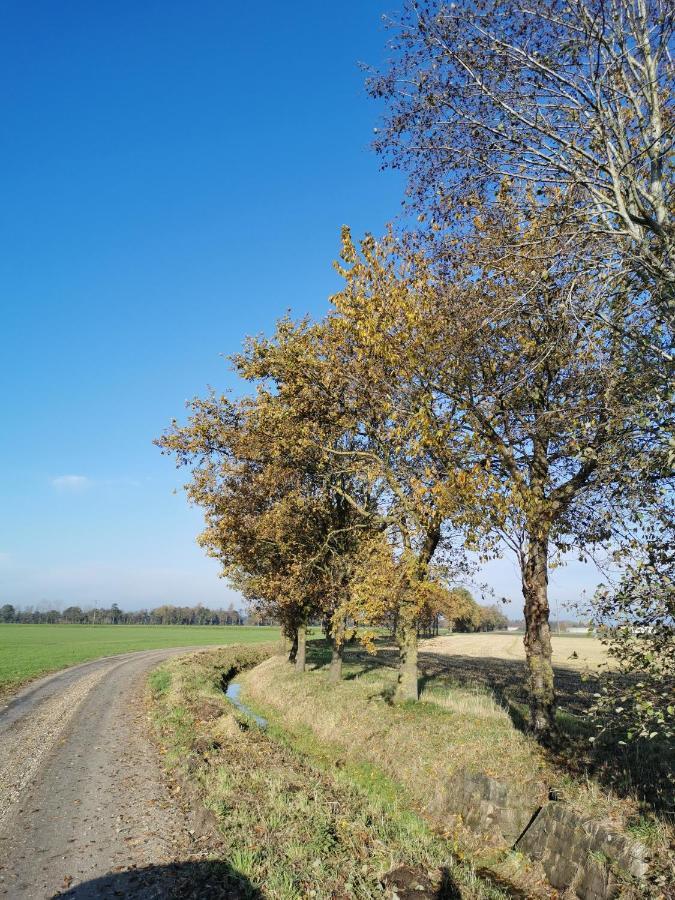Heeser Hof - Urlaub Im Gruenen Weeze Exterior foto